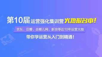 互聯(lián)網(wǎng)銷售的核心策略與運(yùn)營實(shí)踐