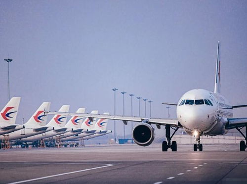 航空保險理賠困境 為何遇難乘客購買多份保險仍遭拒賠？